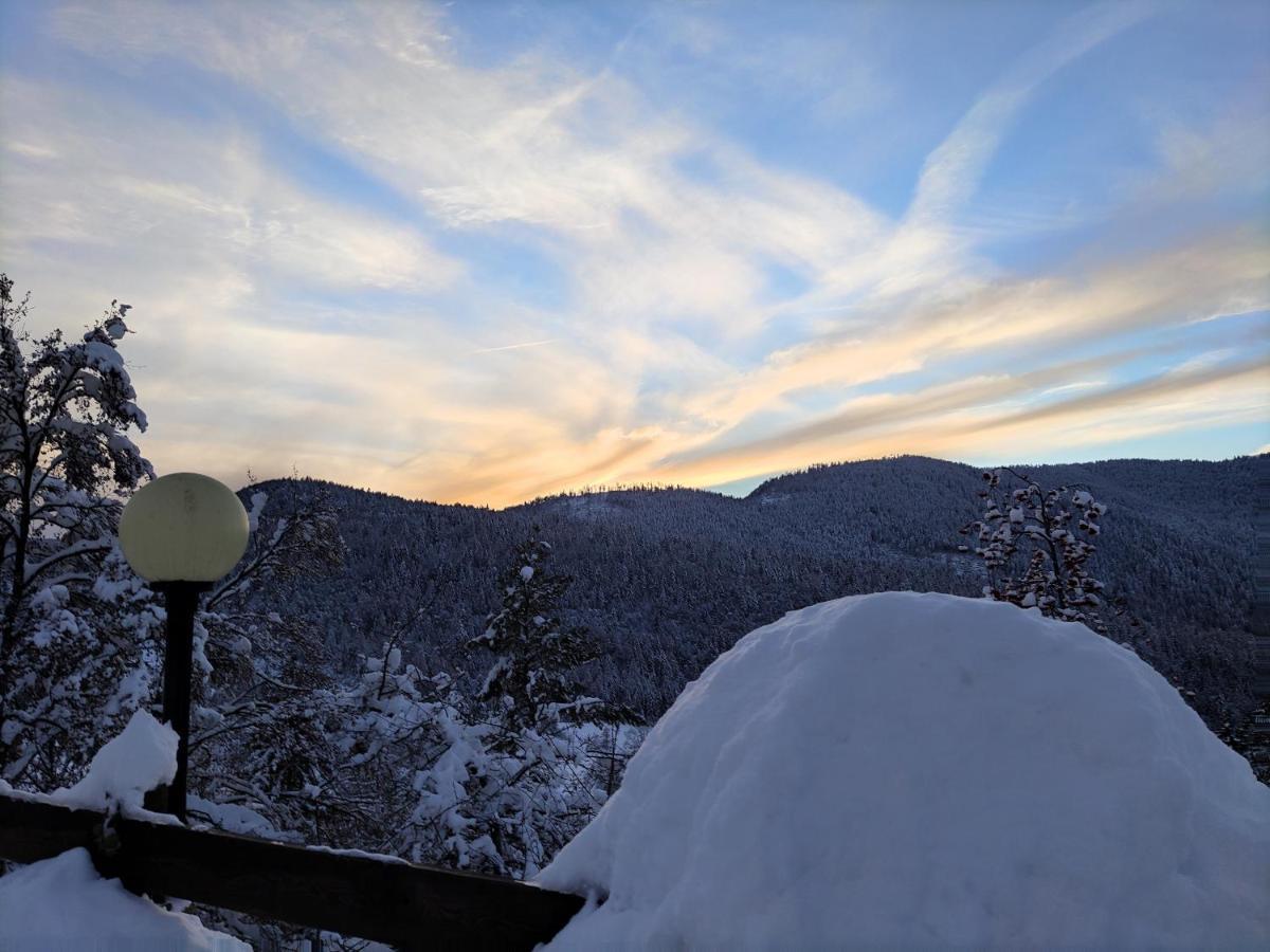 Albergo Villa Cristina โฟลกาเรีย ภายนอก รูปภาพ