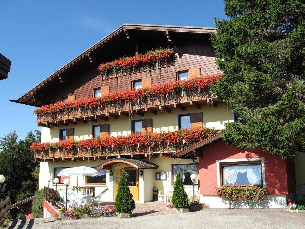 Albergo Villa Cristina โฟลกาเรีย ภายนอก รูปภาพ