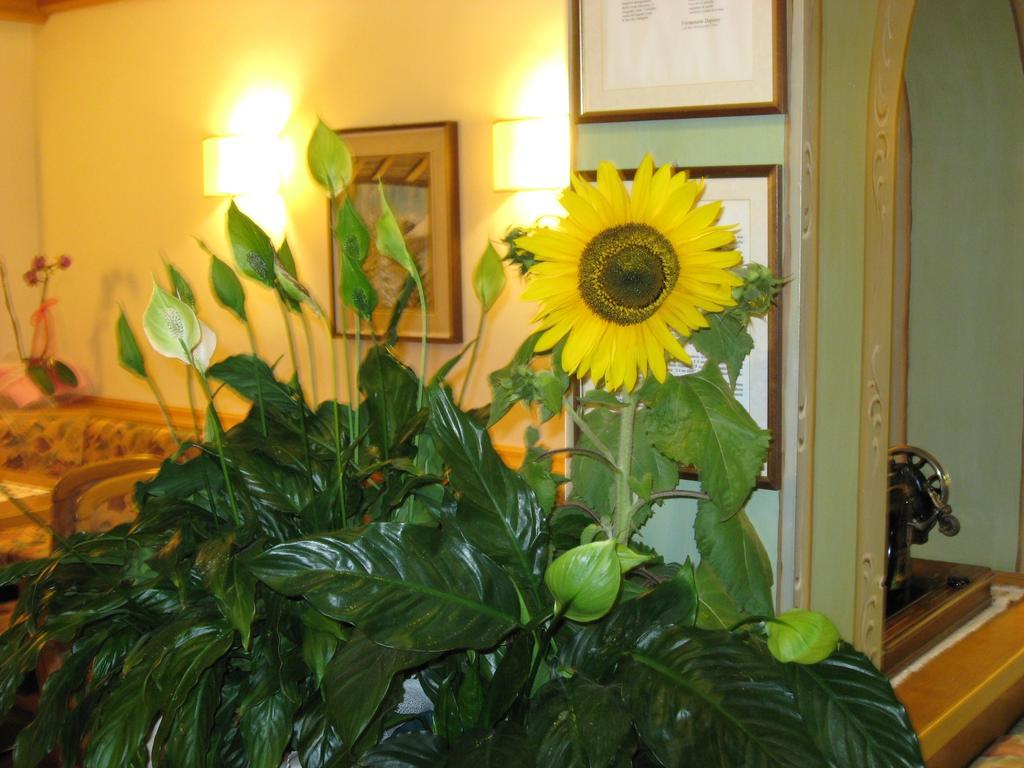 Albergo Villa Cristina โฟลกาเรีย ภายนอก รูปภาพ